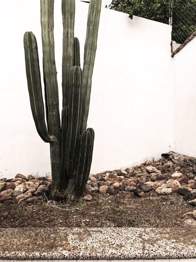 Casa T Villa Guanajuato Eksteriør bilde